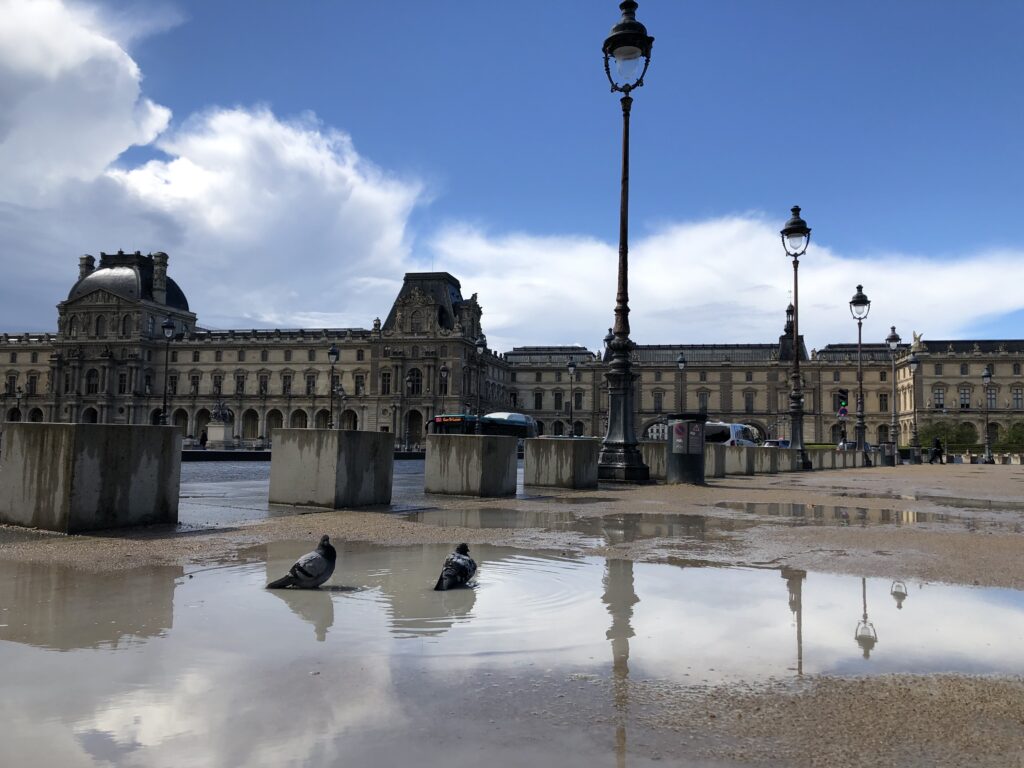 Paris aims to cool down